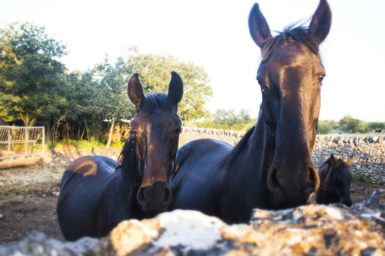 מרטינה פרנקה Trulli Sul Vignale In Masseria Santalachicca מראה חיצוני תמונה
